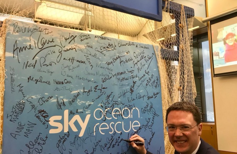 Sky Ocean Rescue