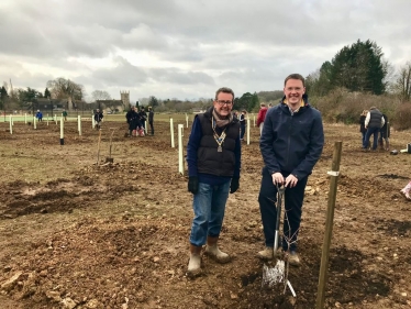 Orchard planting