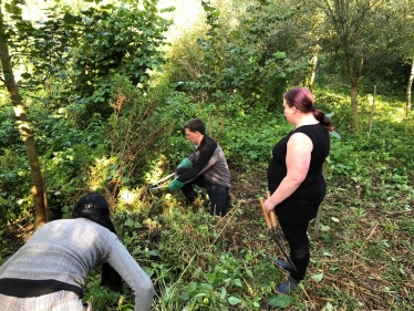 ChippyGreenGym